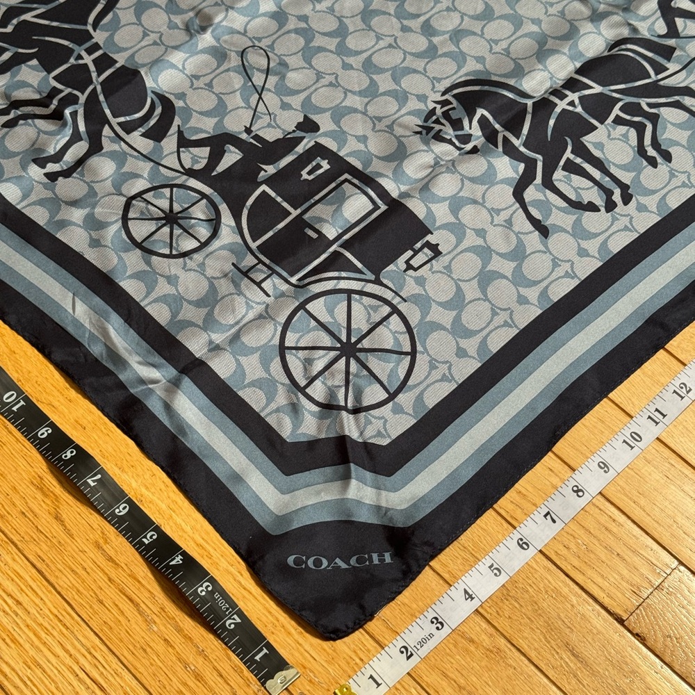 Coach Shades of Blues horse Carriage Design Scarf